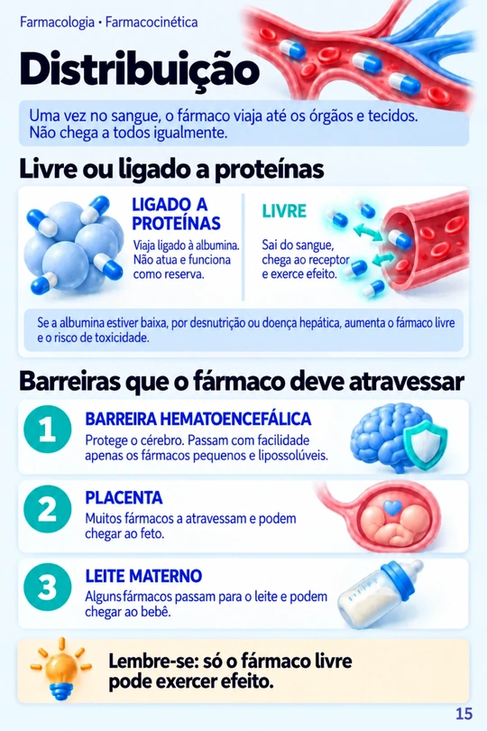 Página Distribuição